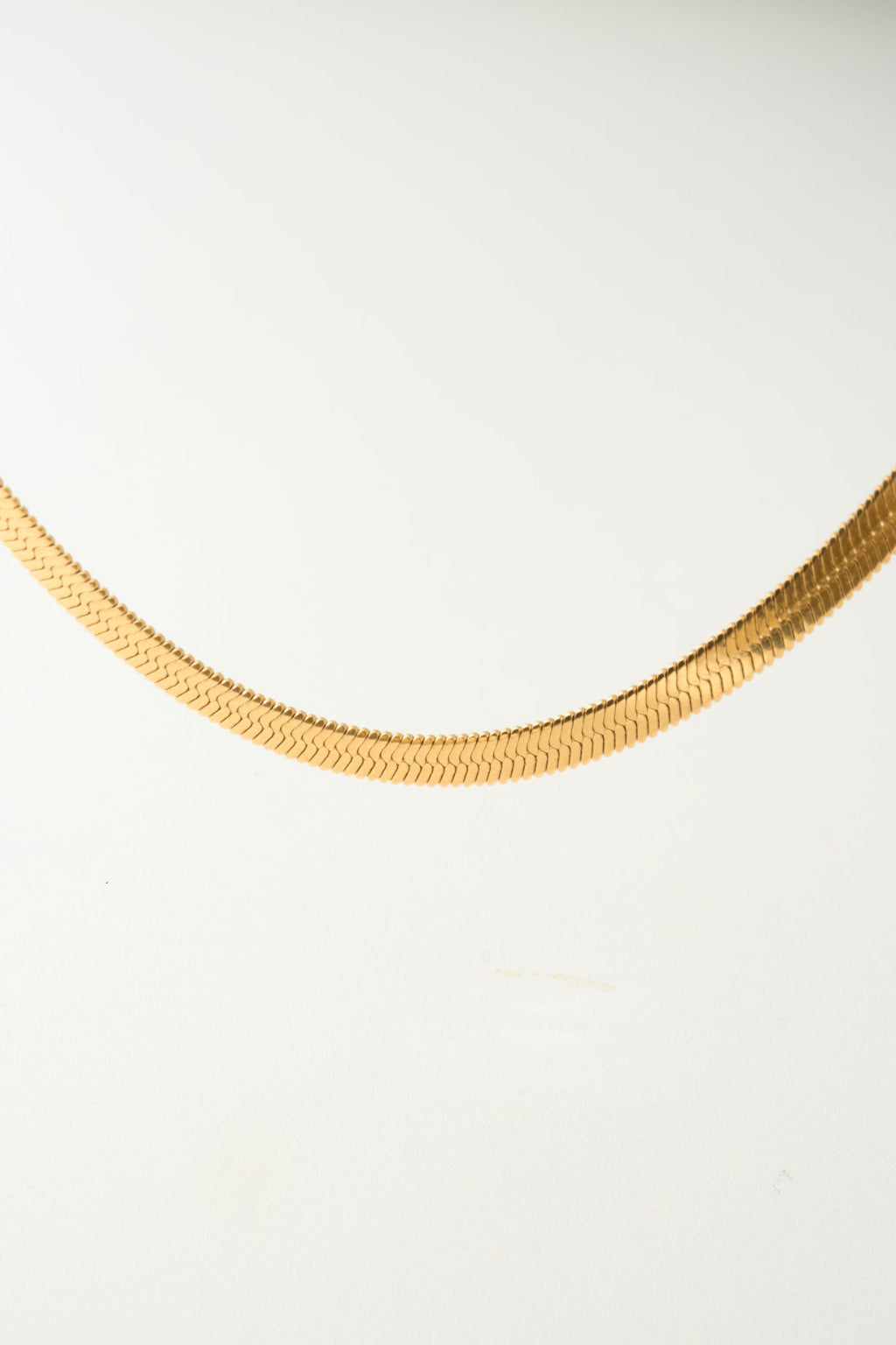 Flat Snake Chain Necklace