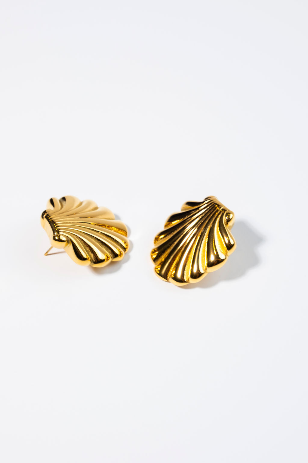 Shell Earrings