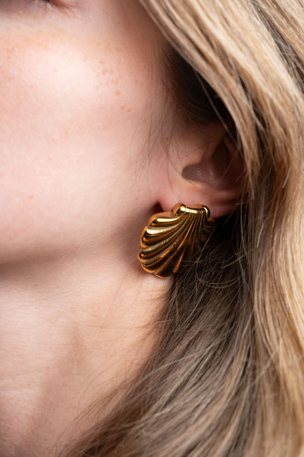 Shell Earrings